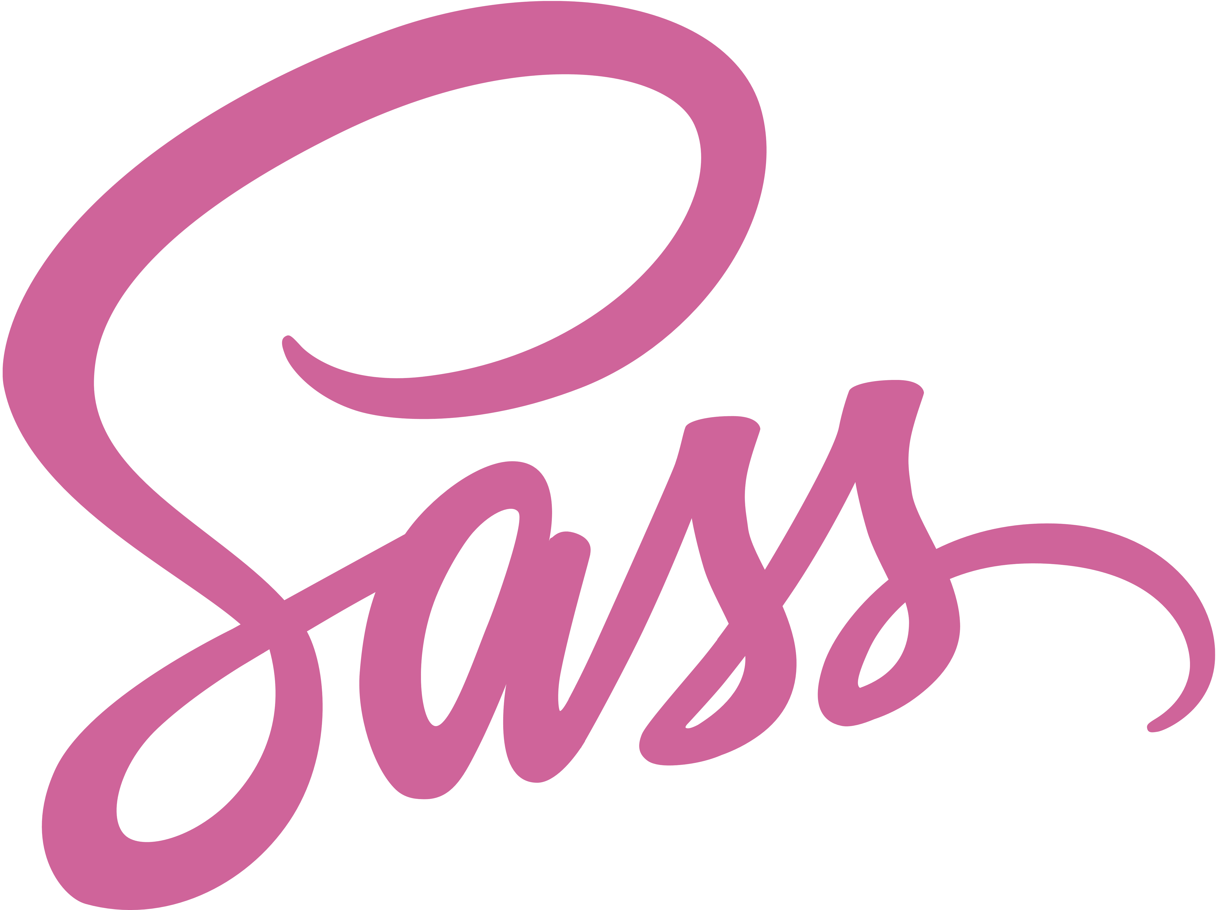 sass logo
